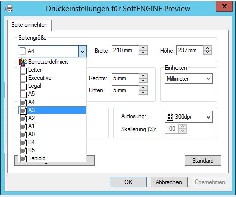 Druckeinstellungen_A3_Preview