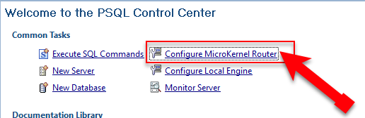 PSQL_Microkernel_Router_Setting